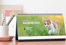 Kupte si kalendář a podpořte kočičí útulek v Dobříni!