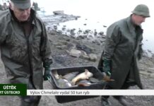 ÚŠTĚK: Výlov Chmelaře vydal 50 tun ryb