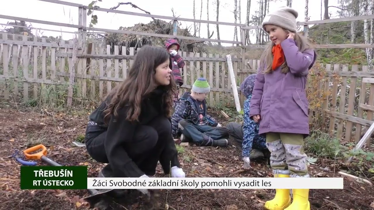 LITOMĚŘICKO: Žáci Svobodné základní školy pomohli vysadit les