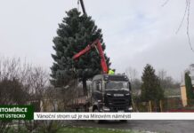 LITOMĚŘICE: Vánoční strom už je na Mírovém náměstí