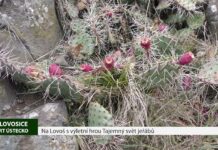 LOVOSICE: Na Lovoš s výletní hrou Tajemný svět jeřábů