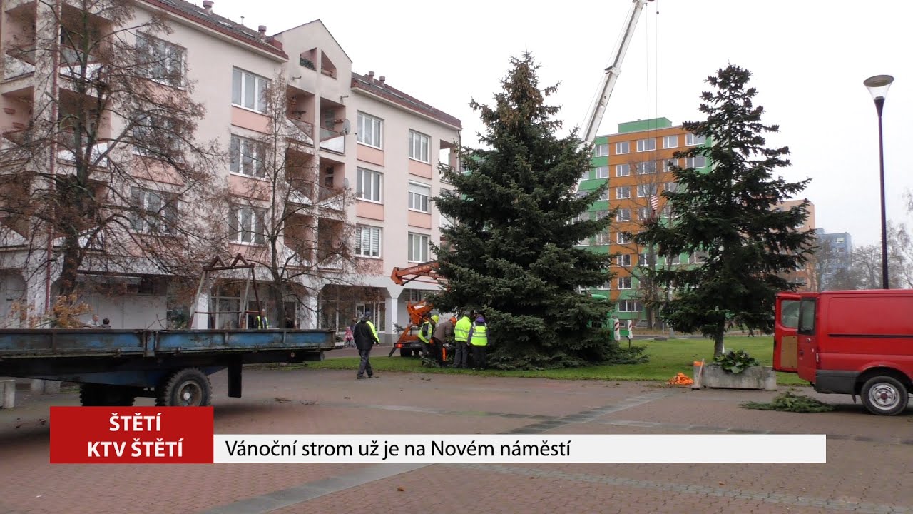 ŠTĚTÍ: Vánoční strom už je na Novém náměstí