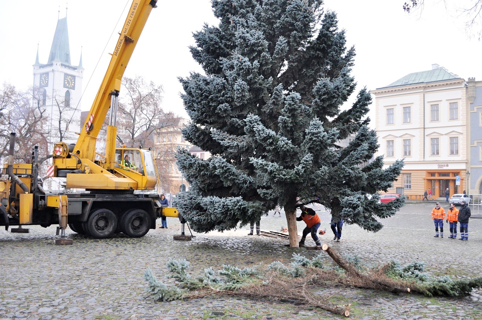 Litoměřický vánoční strom je z Mládežnické ulice