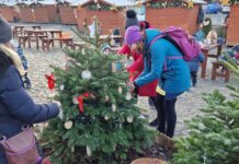 FOTOGALERIE: Děti z mateřinek dnes na náměstí zdobily vánoční stromečky