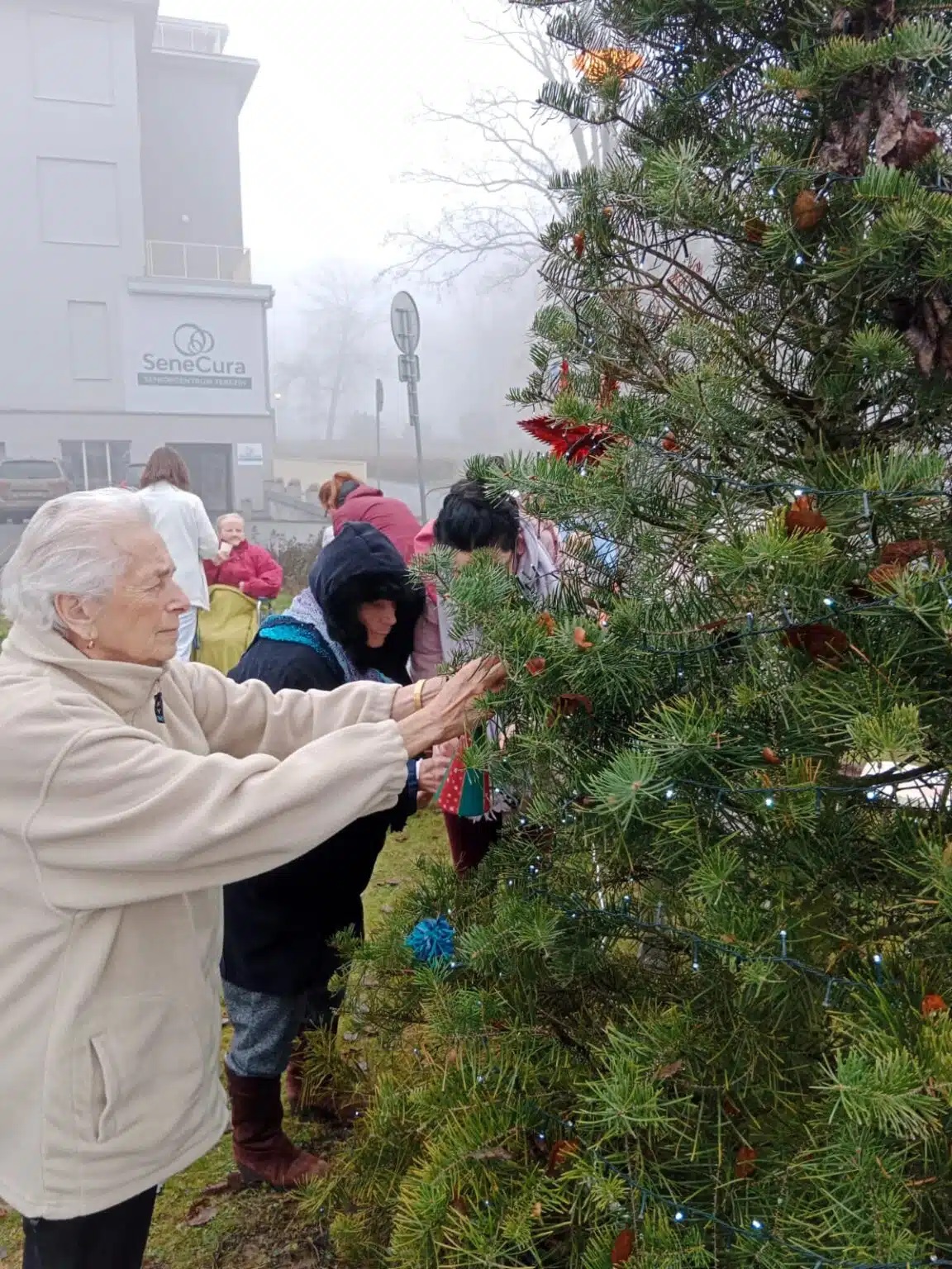FOTOGALERIE: Klienti SeniorCentra SeneCura ozdobili stromeček