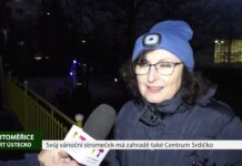 LITOMĚŘICE: Svůj vánoční stromeček má na zahradě také Centrum Srdíčko