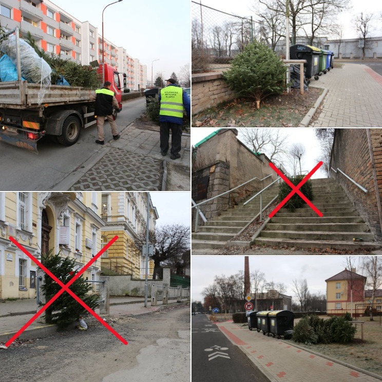 V Roudnici začal svoz vysloužilých vánočních stromků