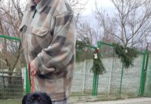 AMOROVI zemřel majitel, štěně hledá nový domov