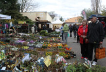 Začal předprodej vstupenek na Tržnici Zahrady Čech