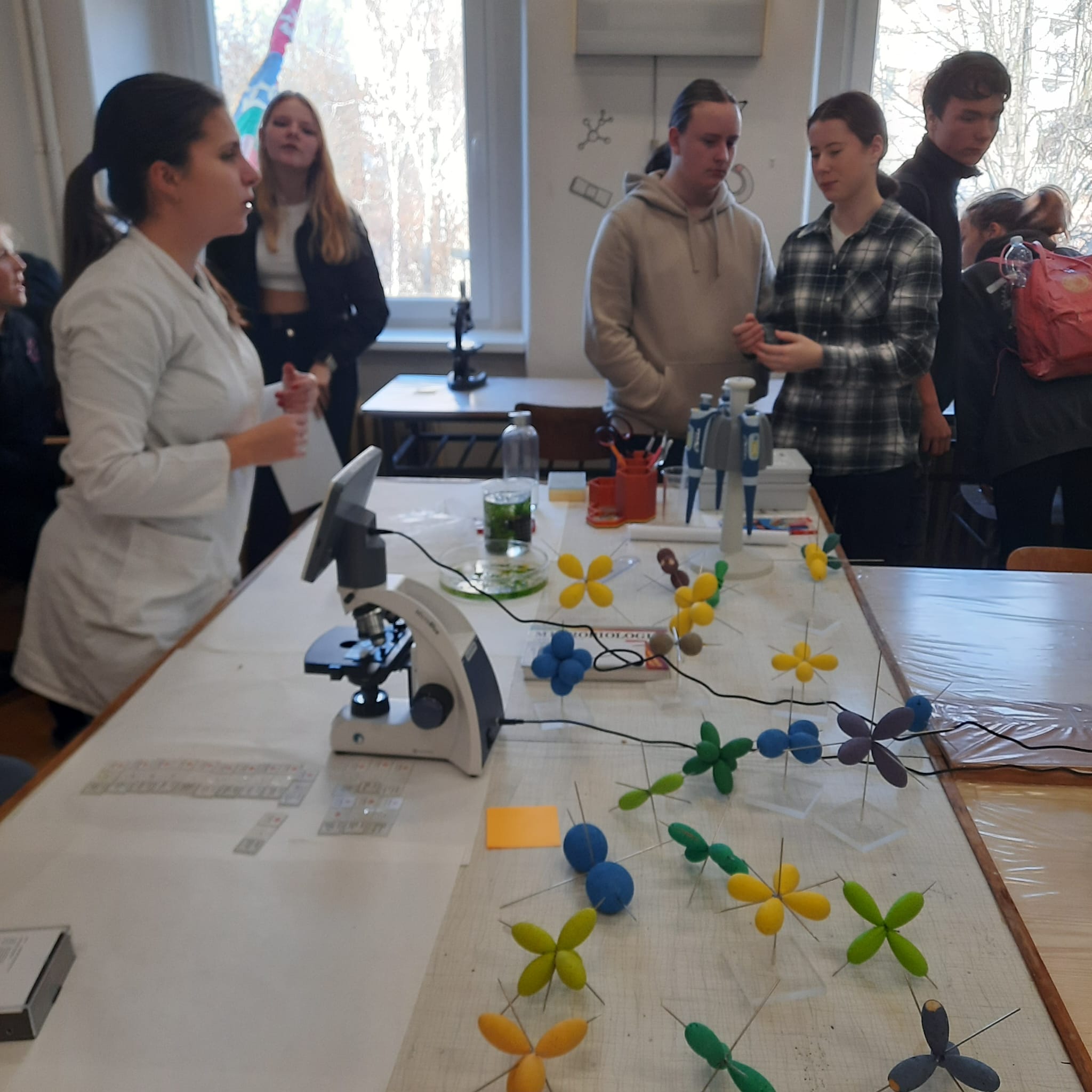 ZŠ Antonína Baráka boduje v okresních a krajských soutěžích