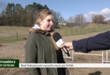 LITOMĚŘICE: Nad Pokraticemi vyrostlo nové psí hřiště