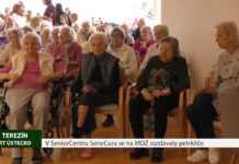 TEREZÍN: V SeniorCentru SeneCura se na MDŽ rozdávaly petrklíče
