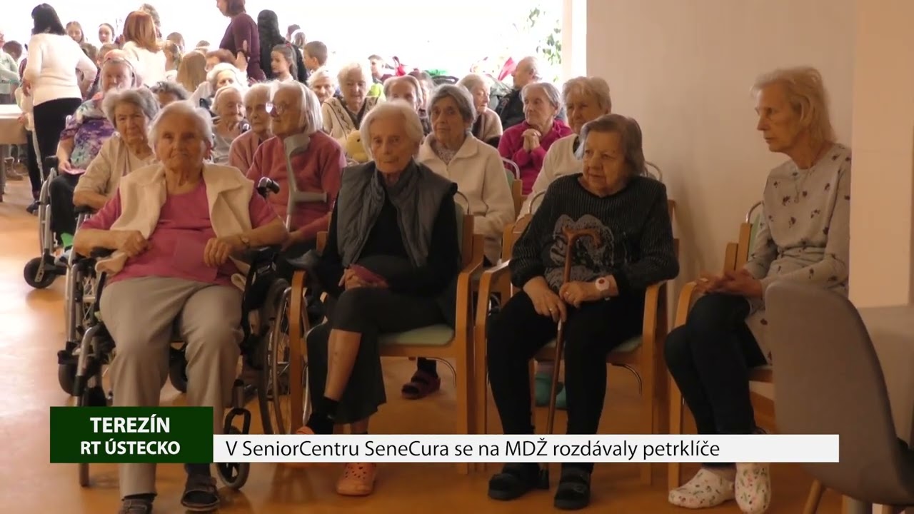 TEREZÍN: V SeniorCentru SeneCura se na MDŽ rozdávaly petrklíče
