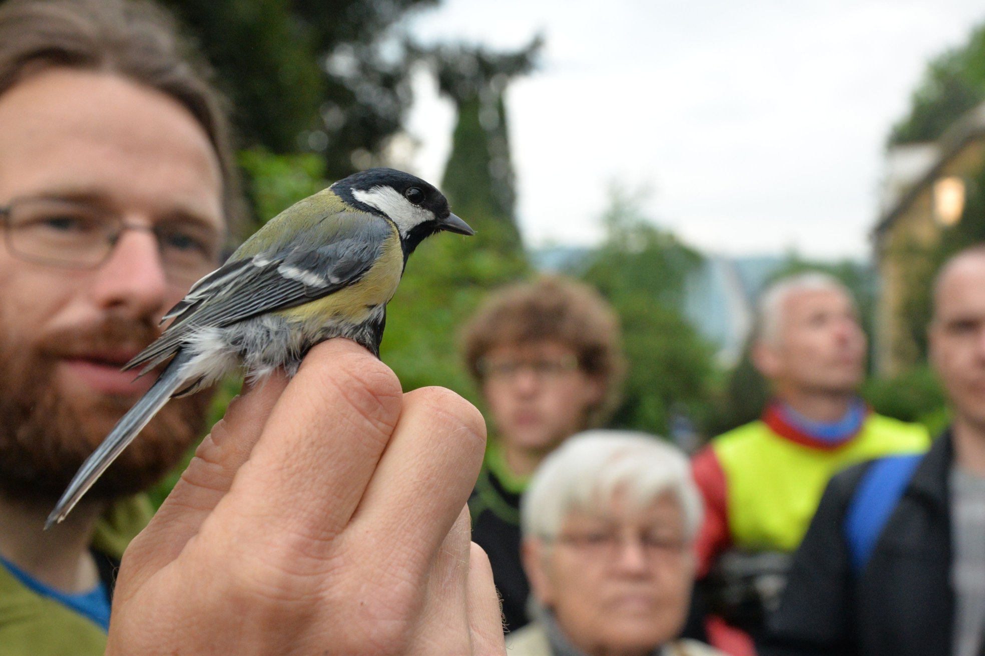 Zoologická zahrada v Ústí nad Labem zve na Vítání ptačího zpěvu