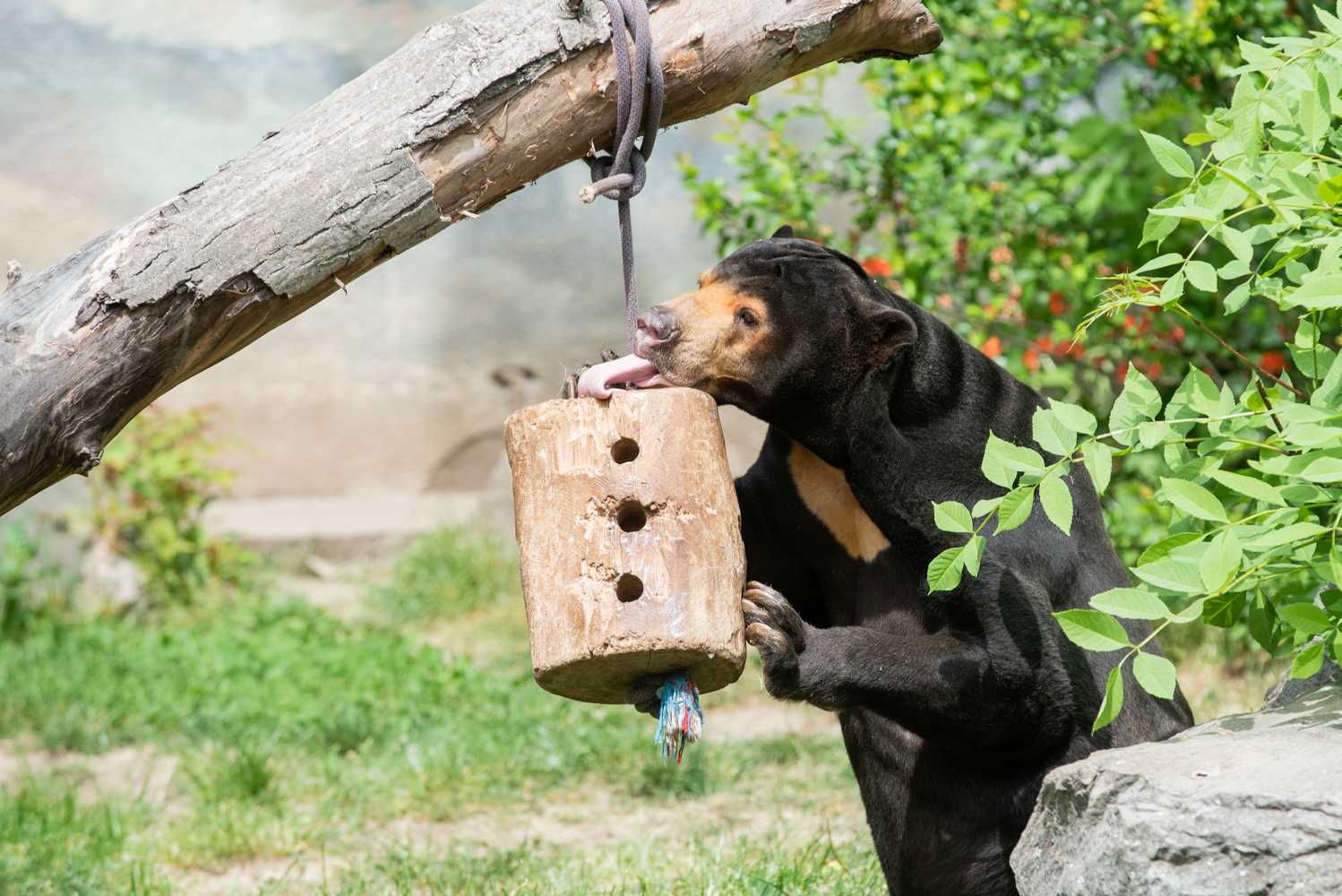 Zoologická zahrada v Ústí nad Labem zahajuje sezónu