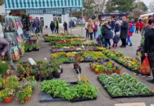 Začala výstavní sezóna na Zahradě Čech