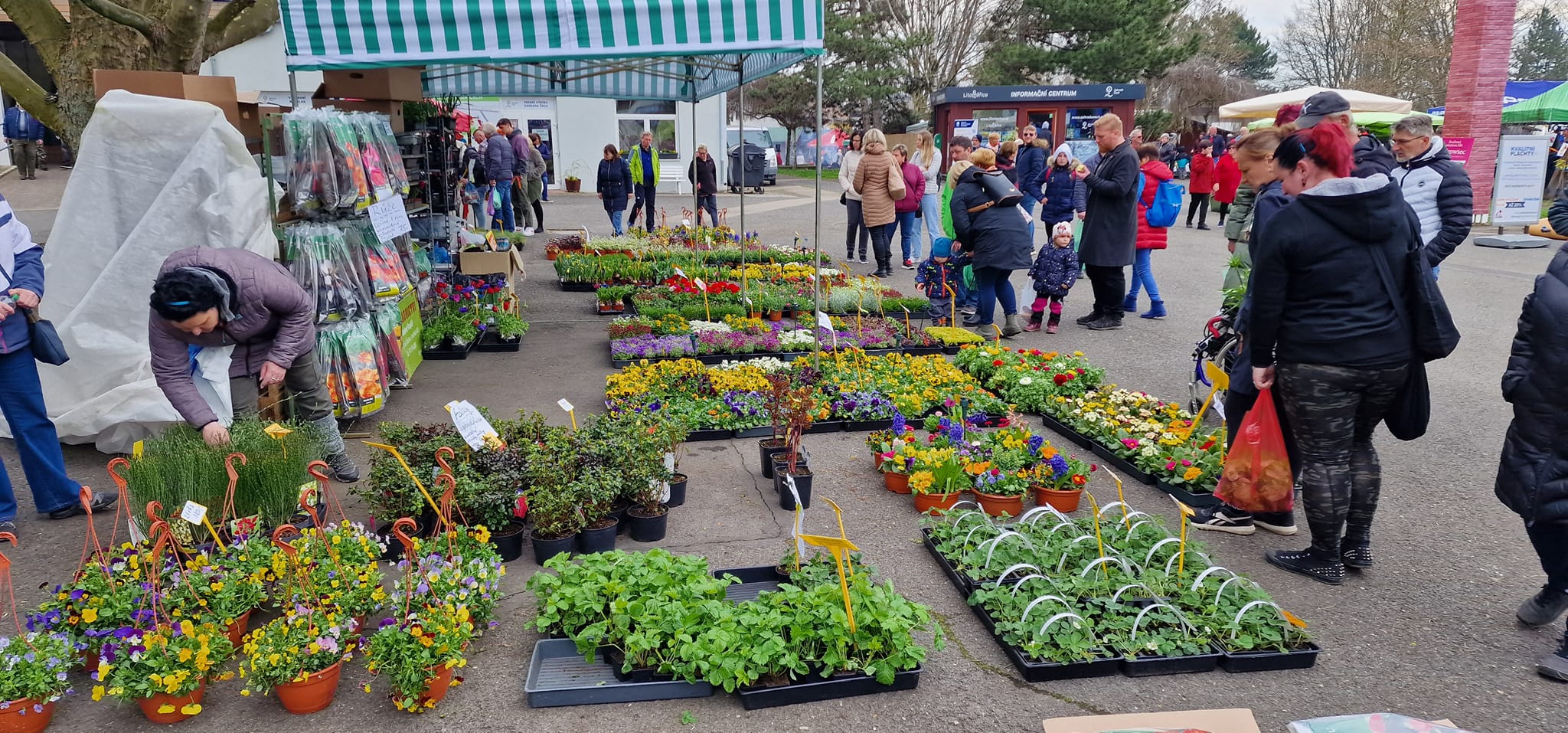 Kam o víkendu na Litoměřicku