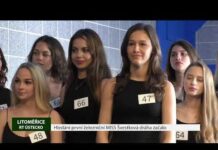 LITOMĚŘICKO: Hledání první železniční MISS Švestková dráha začalo