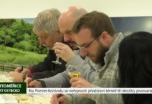 LITOMĚŘICE: Na Pivním festivalu se veřejnosti představí téměř tři desítky pivovarů