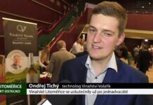 LITOMĚŘICE: Vinařské Litoměřice se uskutečnily už po jednadvacáté