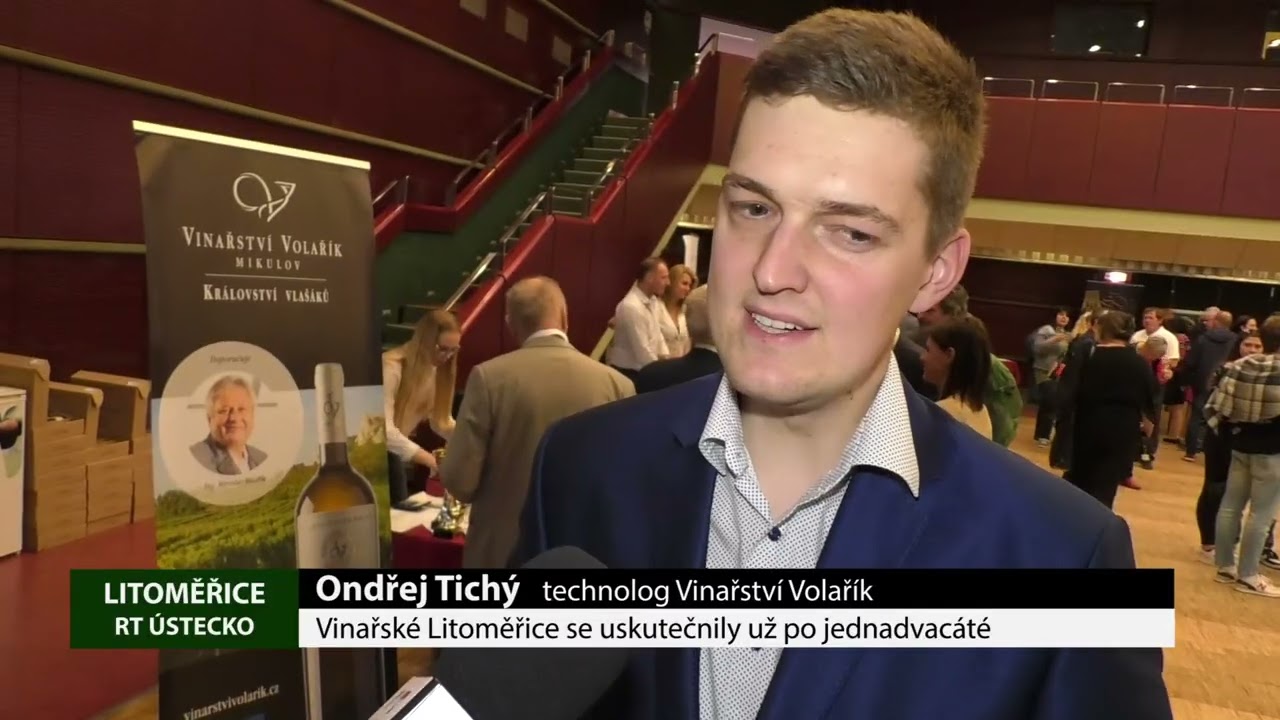 LITOMĚŘICE: Vinařské Litoměřice se uskutečnily už po jednadvacáté