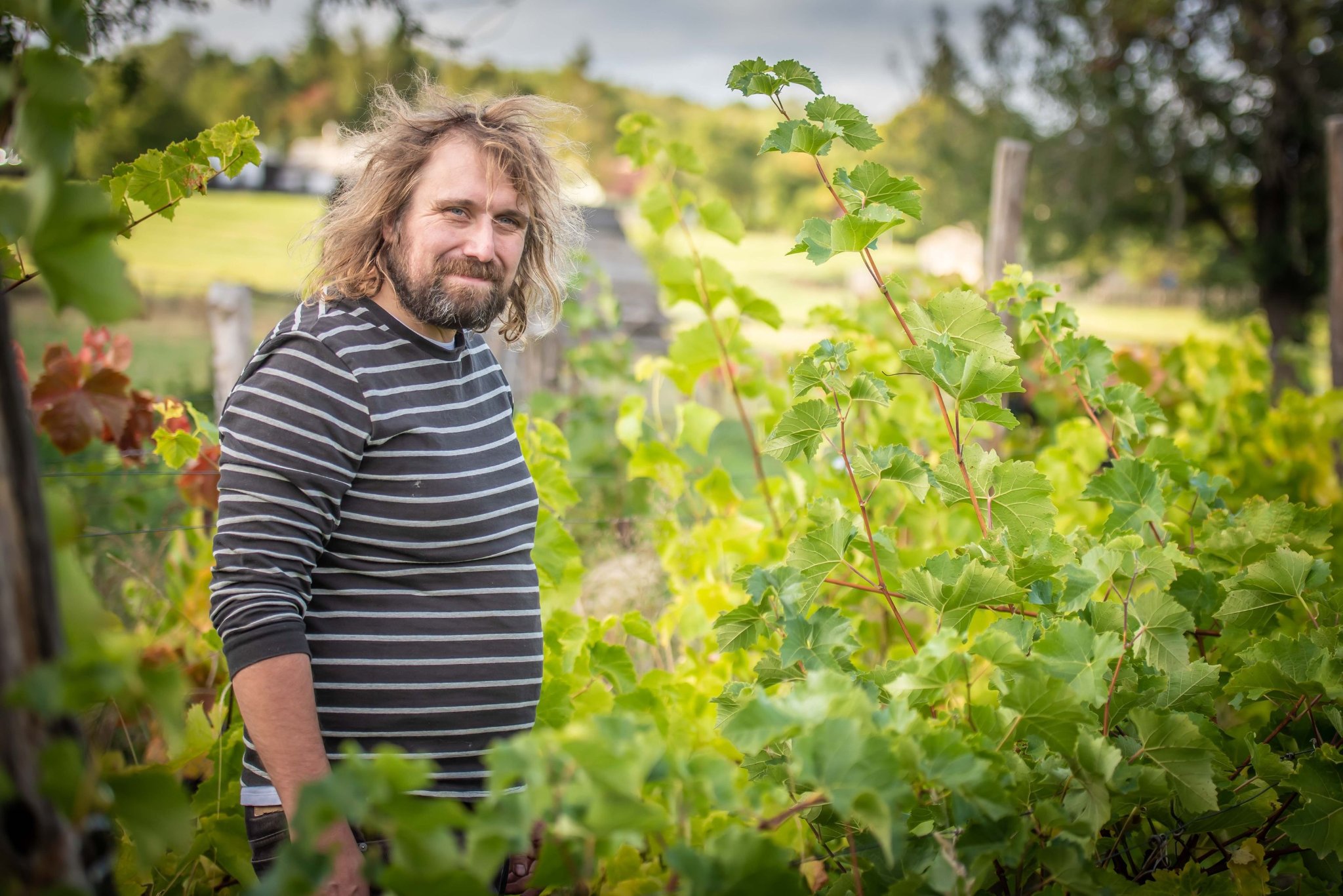 Vinaři v Třebenicích přivítají vínomilce přímo na vinicích