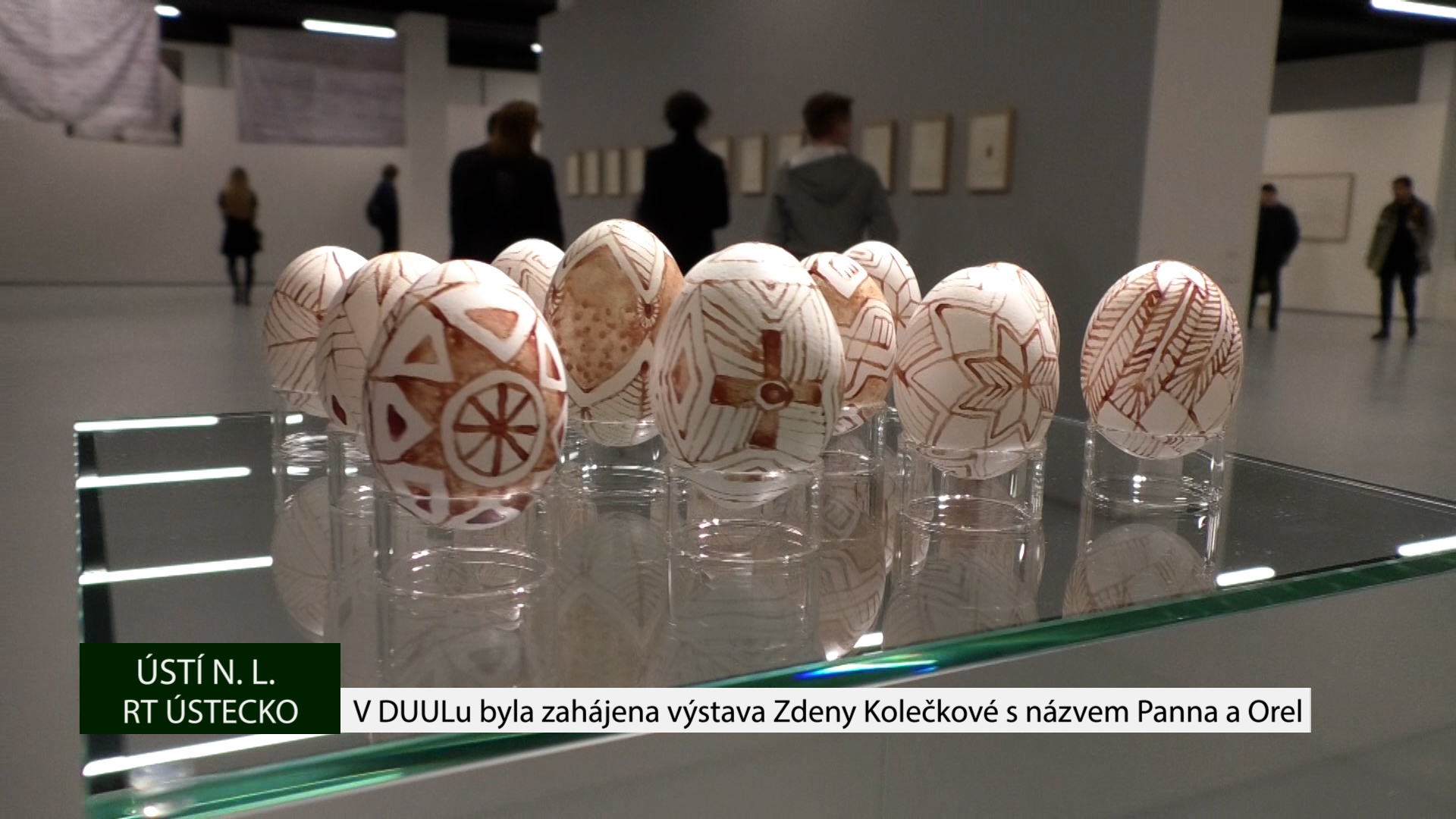 ÚSTÍ N. L.: V DUULu byla zahájena výstava Zdeny Kolečkové s názvem Panna a Orel