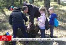 ŠTĚTÍ/ JEŠOVICE: EKO den s Mondi byl tentokrát zaměřen na péči o les