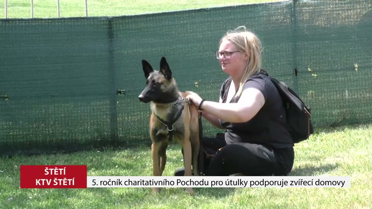 ŠTĚTÍ: 5. ročník charitativního Pochodu pro útulky podporuje zvířecí domovy