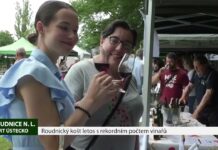 ROUDNICE N. L.: Roudnický košt letos s rekordním počtem vinařů