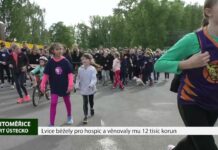 LITOMĚŘICE: Lvice běžely pro hospic a věnovaly mu 12 tisíc korun