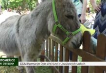 LITOMĚŘICE: DDM Rozmarýn Den dětí slavil v Jiráskových sadech