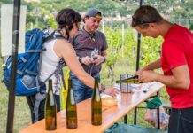 Kam o víkendu na Litoměřicku