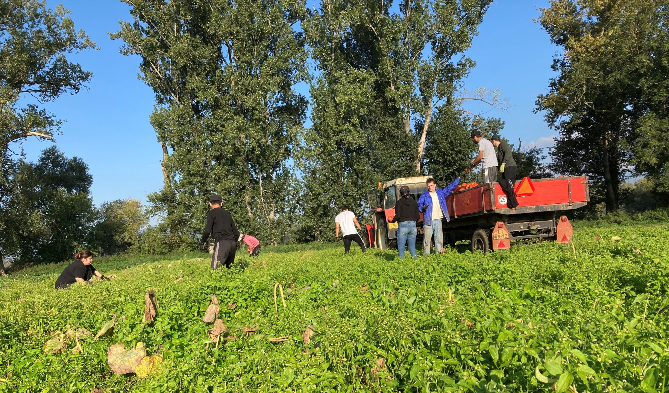 Zahraniční dobrovolníci přijedou pomáhat na ekologický statek v Kopistech