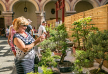 Státní zámek Libochovice zve na 34. výstavu bonsají