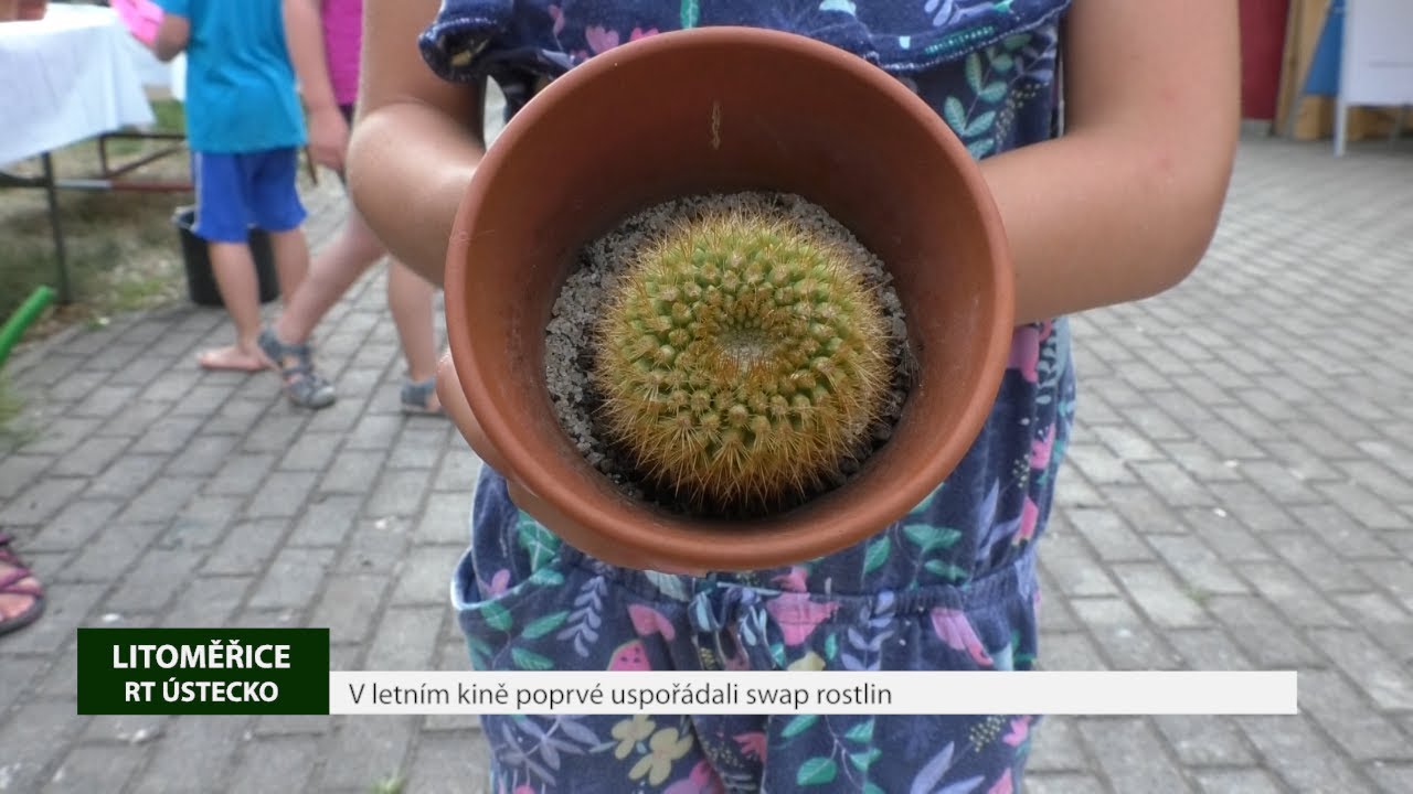 LITOMĚŘICE: V letním kině poprvé uspořádali swap rostlin