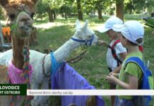 LOVOSICE: Barevné letní úterky začaly