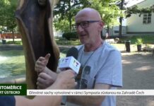 LITOMĚŘICE: Dřevěné sochy vytvořené v rámci Sympozia zůstanou na Zahradě Čech