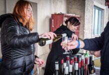 Otevřené sklepy nabídnou nové vinařství i rozloučení s legendou