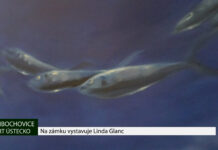 LIBOCHOVICE: Na zámku vystavuje Linda Glanc