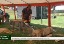 BÝČKOVICE: Na Dřevosochání lidé mohli pozorovat řezbáře při práci