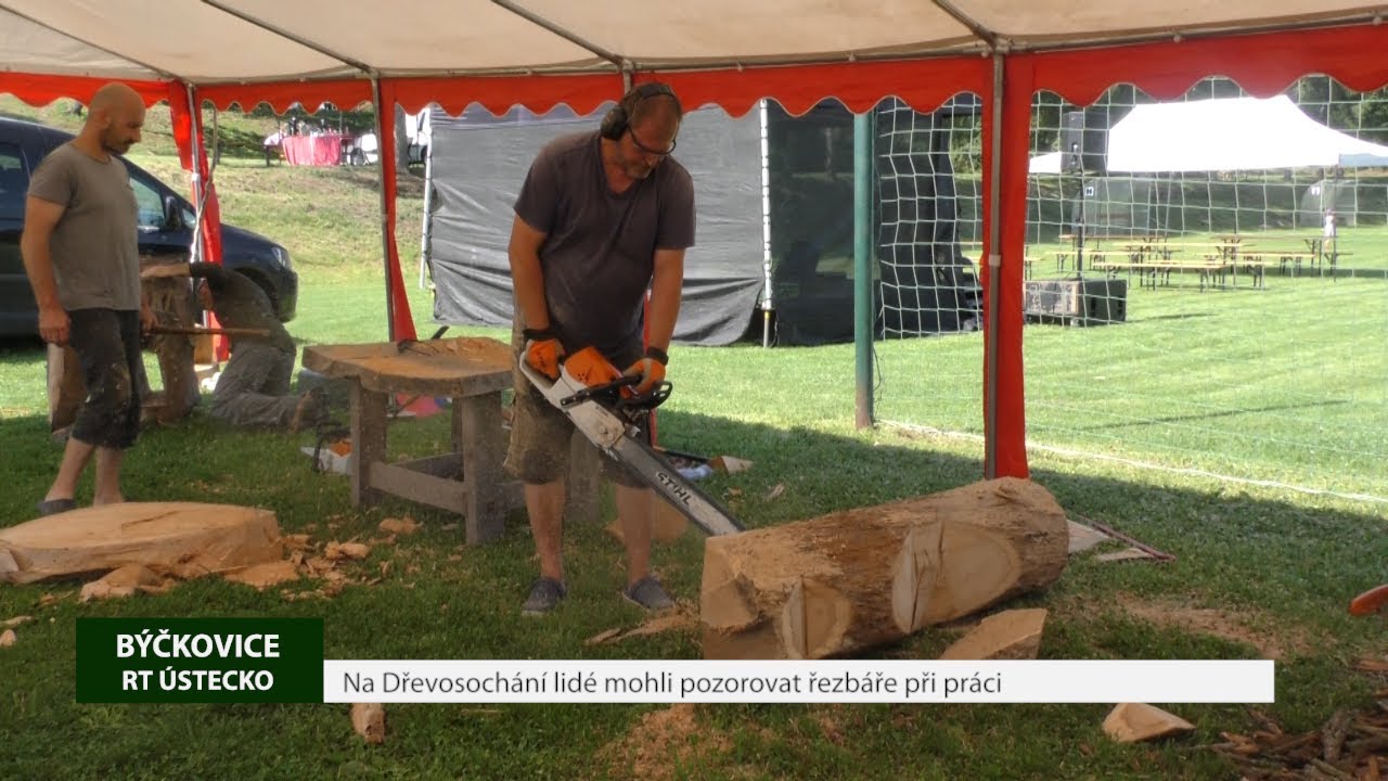BÝČKOVICE: Na Dřevosochání lidé mohli pozorovat řezbáře při práci