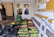 Ovoce a zelenina z expozic Zahrady Čech míří do Klokánku