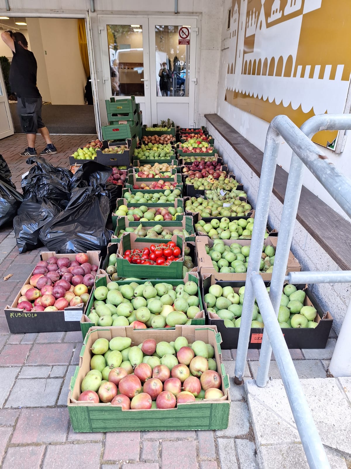 Ovoce a zelenina z expozic Zahrady Čech míří do Klokánku