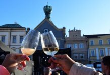 LITOMĚŘICKÉ VINOBRANÍ se koná tuto sobotu 16. září