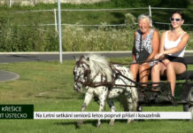 KŘEŠICE: Na Letní setkání seniorů letos poprvé přišel i kouzelník