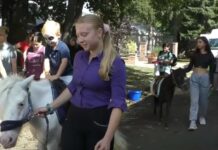 LITOMĚŘICE: Na výstavě žitenických chovatelů si lidé mohli prohlédnout téměř tisíc zvířat