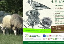 HLINNÁ: 6. Slavností pastvin už následující sobotu
