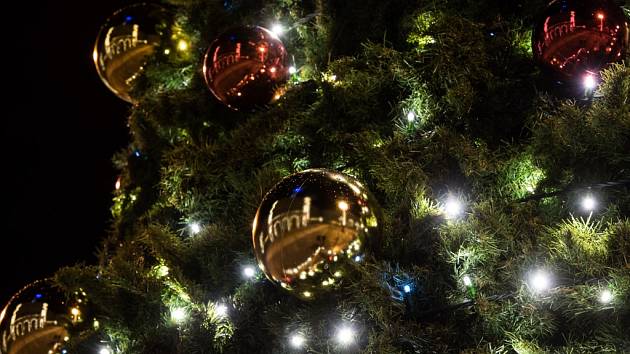 Sociální služby města Lovosice shánějí vánoční strom