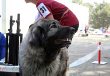 Kam o víkendu na Litoměřicku